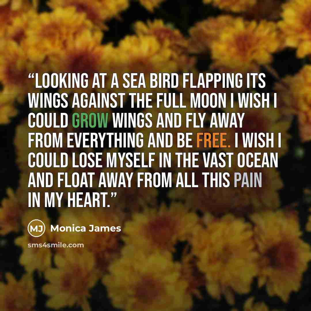 “Looking at a sea bird flapping its wings against the full moon I wish I could grow wings and fly away from everything and be free. I wish I could lose myself in the vast ocean and float away from all this pain in my heart.” quote by Monica James