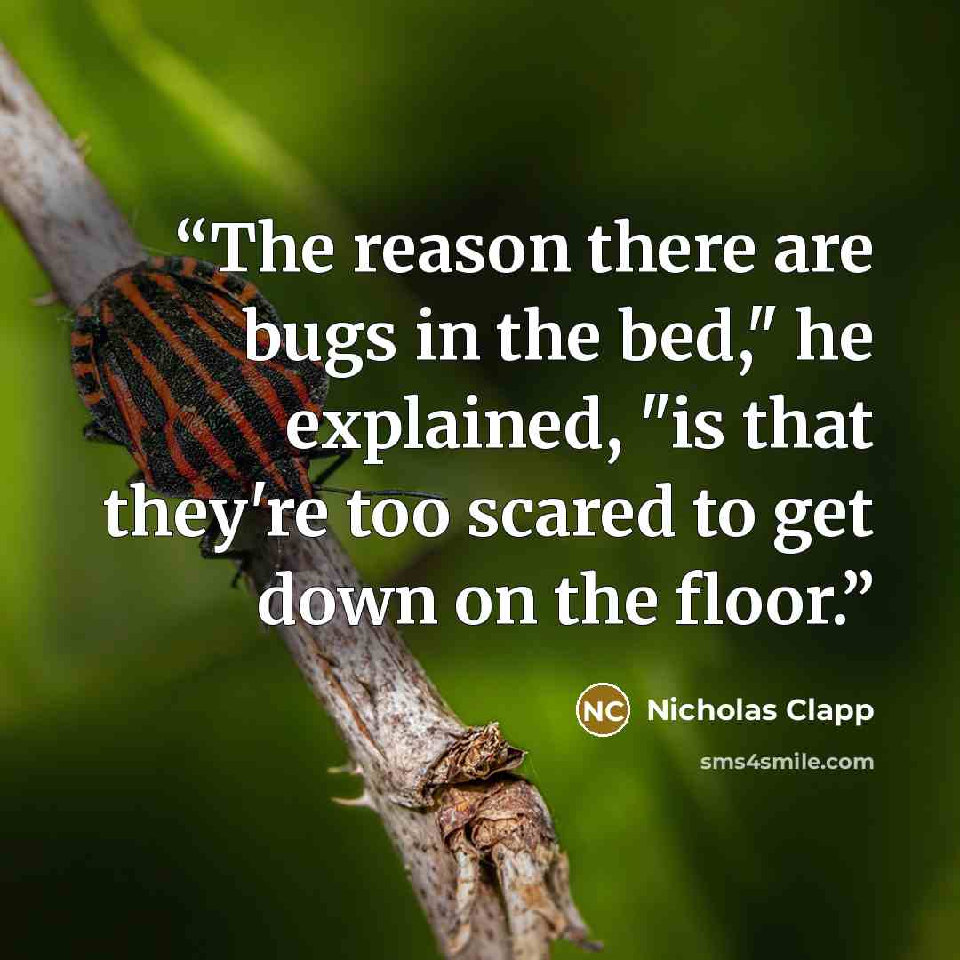 “The reason there are bugs in the bed," he explained, "is that they're too scared to get down on the floor.” quote by Nicholas Clapp