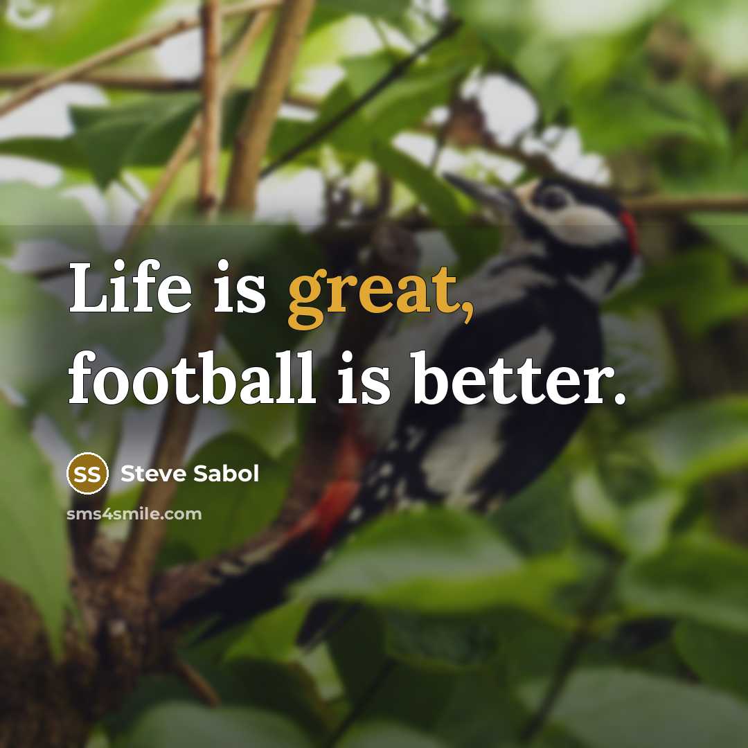 “Life is great, football is better.…” quote by Steve Sabol