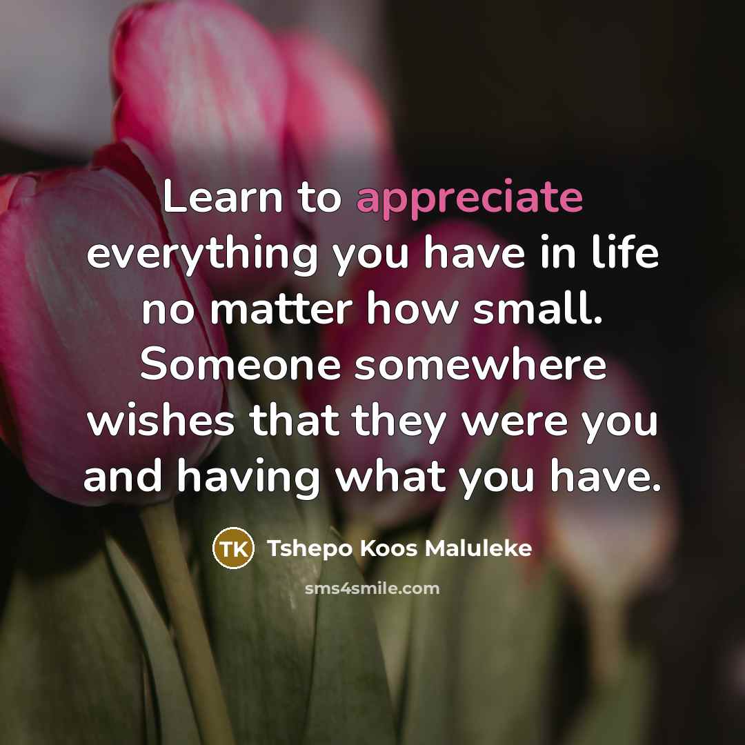 “Learn to appreciate everything you have in life no matter…” quote by Tshepo Koos Maluleke