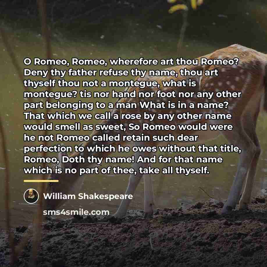 “O Romeo, Romeo, wherefore art thou Romeo? Deny thy father…” quote by William Shakespeare