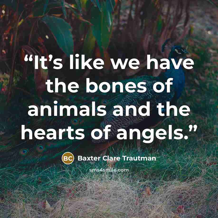 “It’s like we have the bones of animals and the hearts of angels.” quote by Baxter Clare Trautman