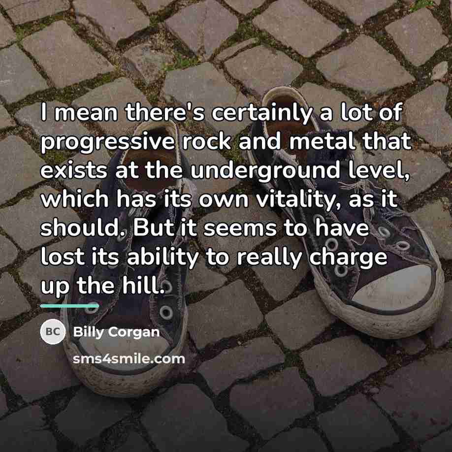 “I mean there's certainly a lot of progressive rock and…” quote by Billy Corgan