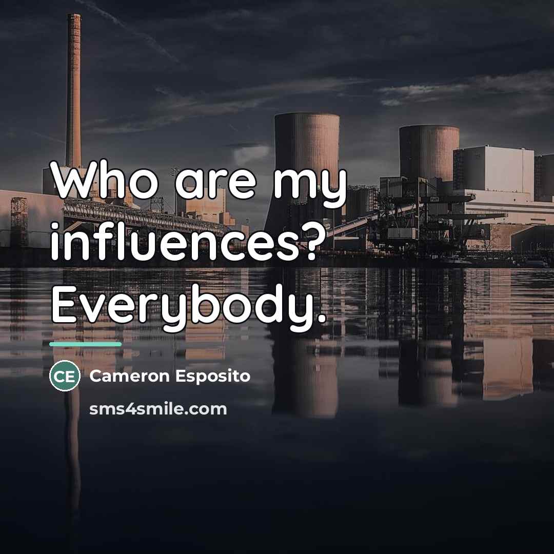 “Who are my influences? Everybody.…” quote by Cameron Esposito