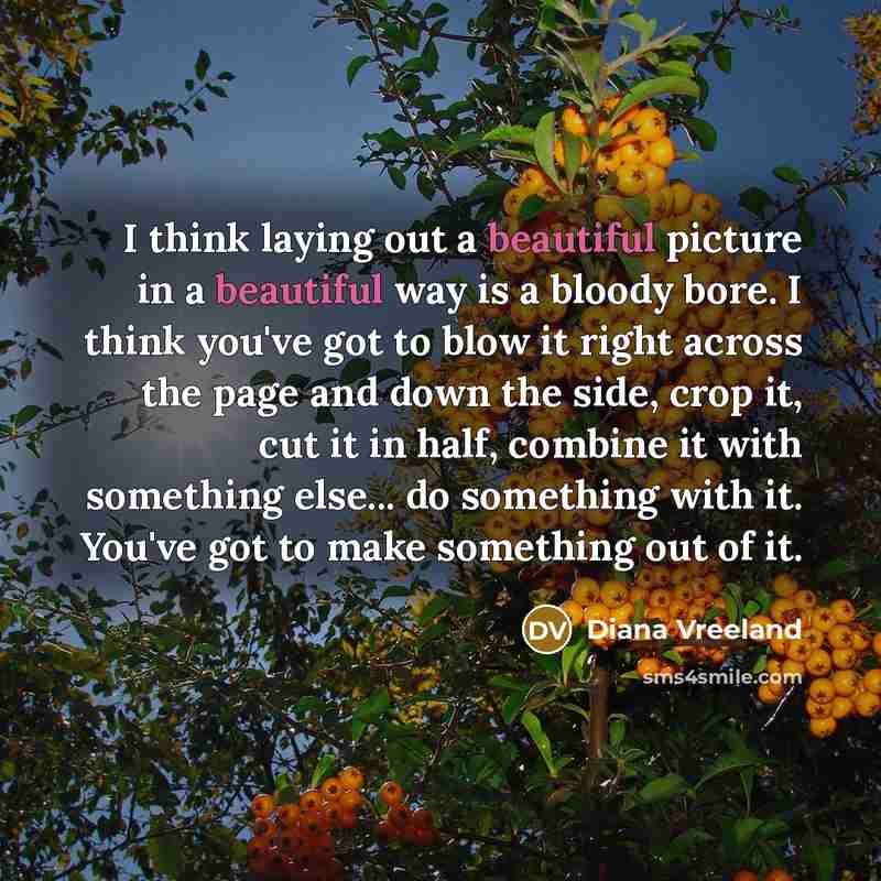 “I think laying out a beautiful picture in a beautiful…” quote by Diana Vreeland