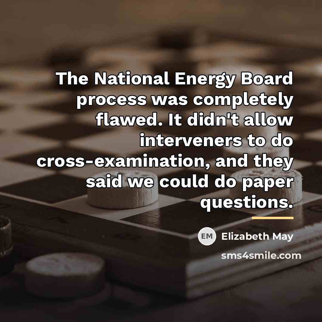 “The National Energy Board process was completely flawed. It didn't…” quote by Elizabeth May