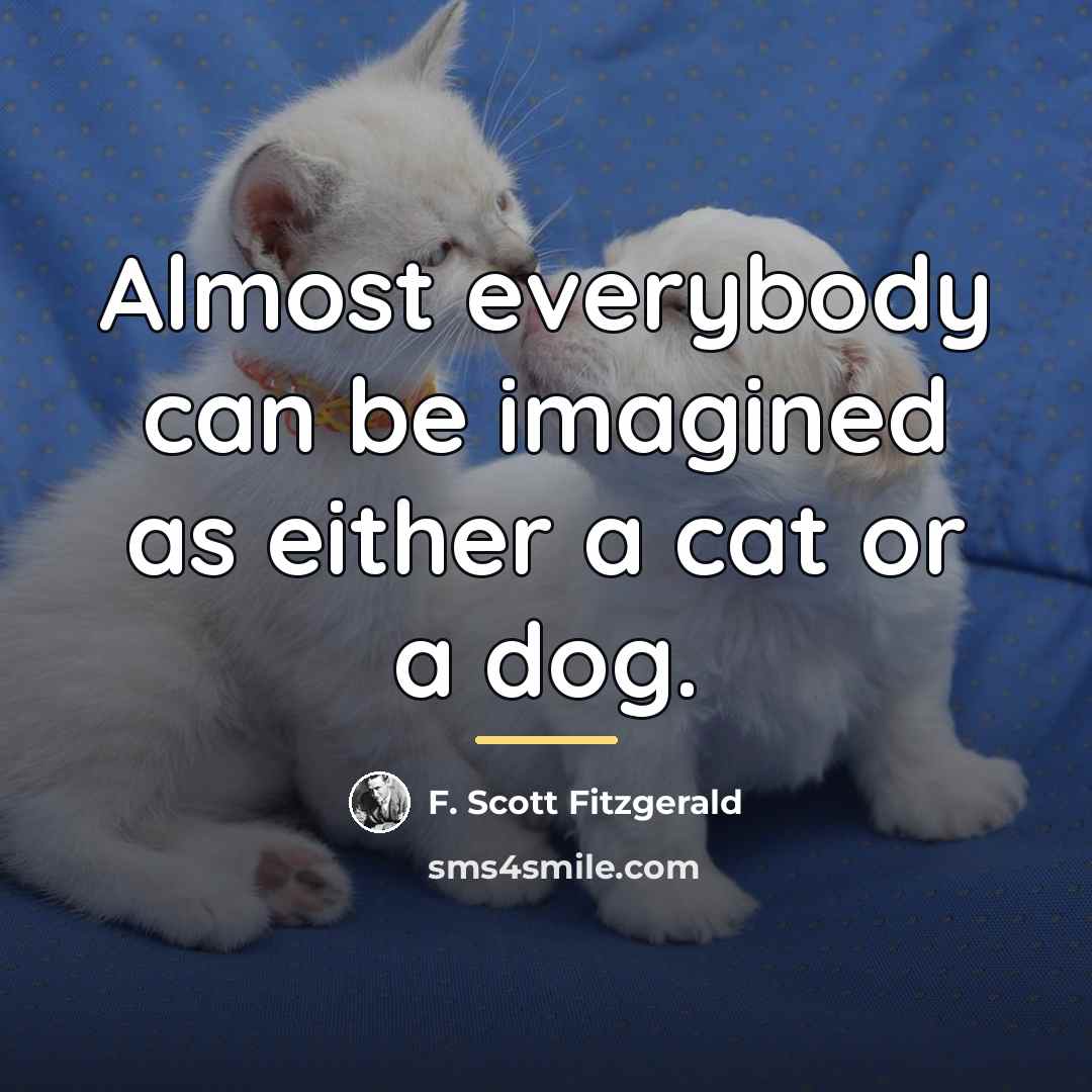 “Almost everybody can be imagined as either a cat or…” quote by F. Scott Fitzgerald