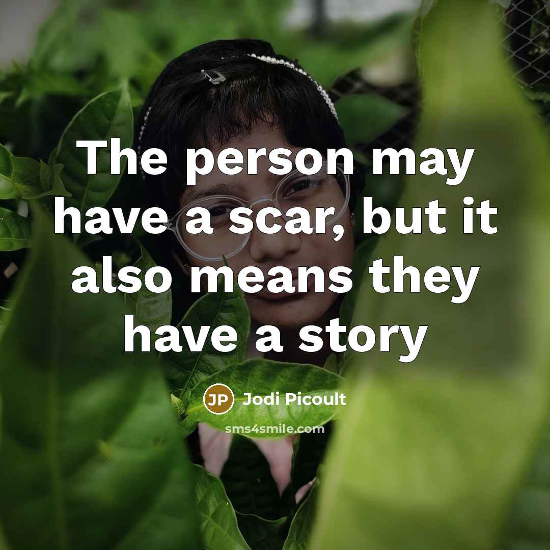 “The person may have a scar, but it also means…” quote by Jodi Picoult