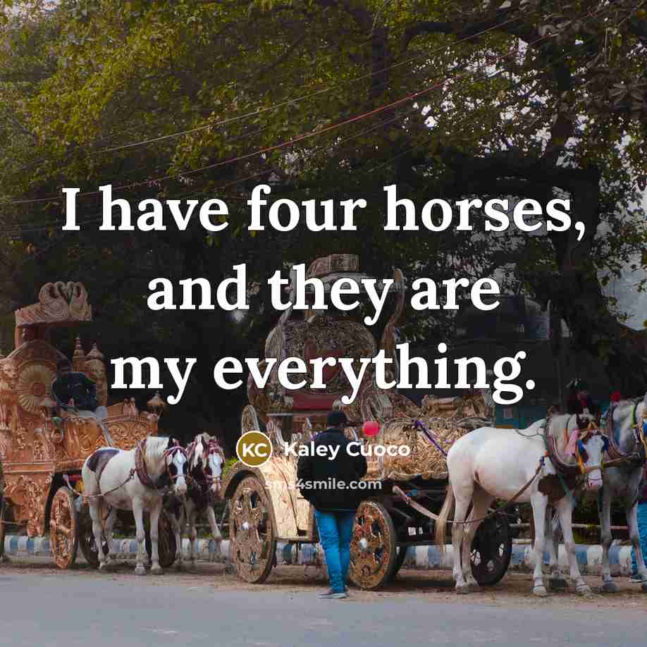 “I have four horses, and they are my everything.…” quote by Kaley Cuoco