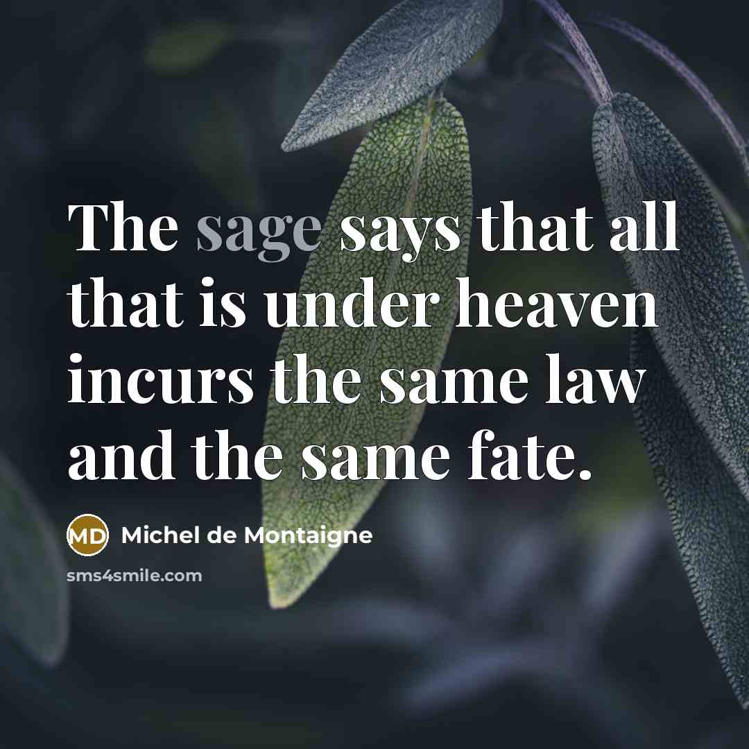 “The sage says that all that is under heaven incurs…” quote by Michel de Montaigne
