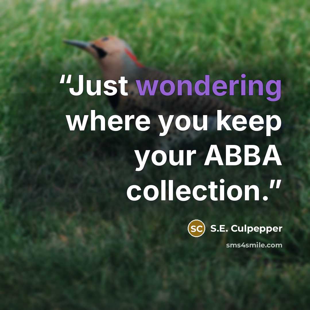 “Just wondering where you keep your ABBA collection.” quote by S.E. Culpepper