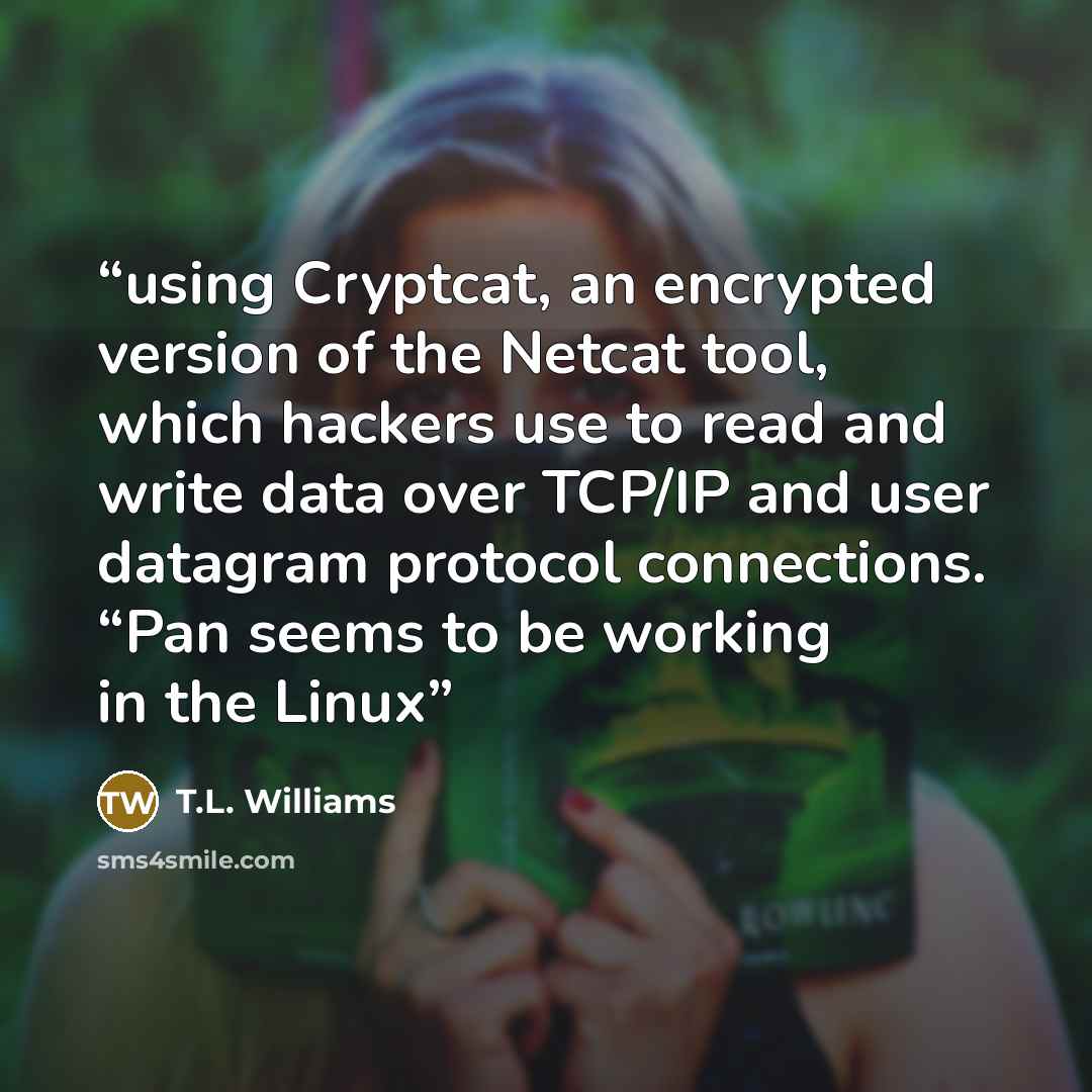 “using Cryptcat, an encrypted version of the Netcat tool, which hackers use to read and write data over TCP/IP and user datagram protocol connections. “Pan seems to be working in the Linux” quote by T.L. Williams