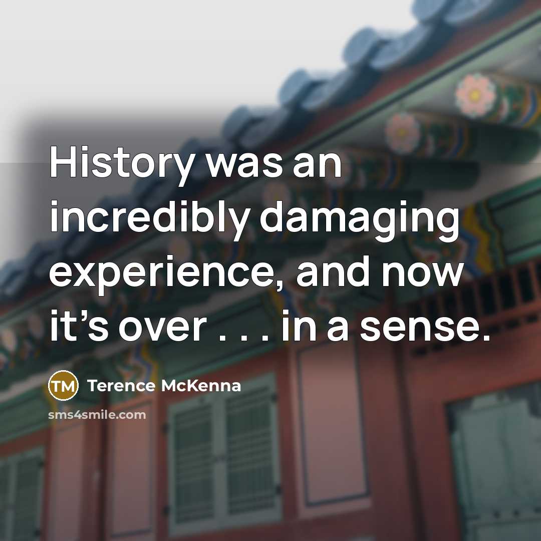 “History was an incredibly damaging experience, and now it's over…” quote by Terence McKenna