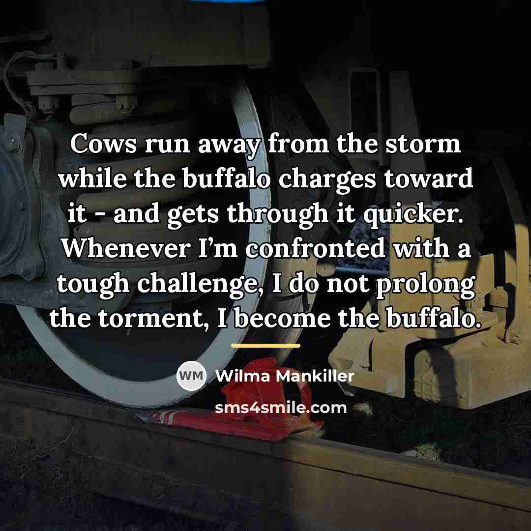 “Cows run away from the storm while the buffalo charges…” quote by Wilma Mankiller