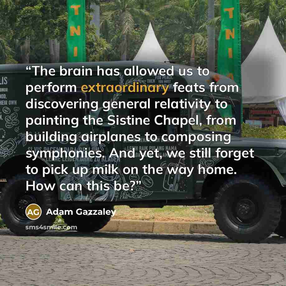 “The brain has allowed us to perform extraordinary feats from discovering general relativity to painting the Sistine Chapel, from building airplanes to composing symphonies. And yet, we still forget to pick up milk on the way home. How can this be?” quote by Adam Gazzaley