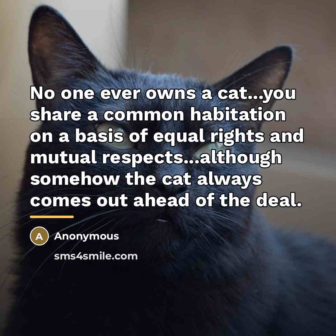 “No one ever owns a cat...you share a common habitation…” quote by Anonymous