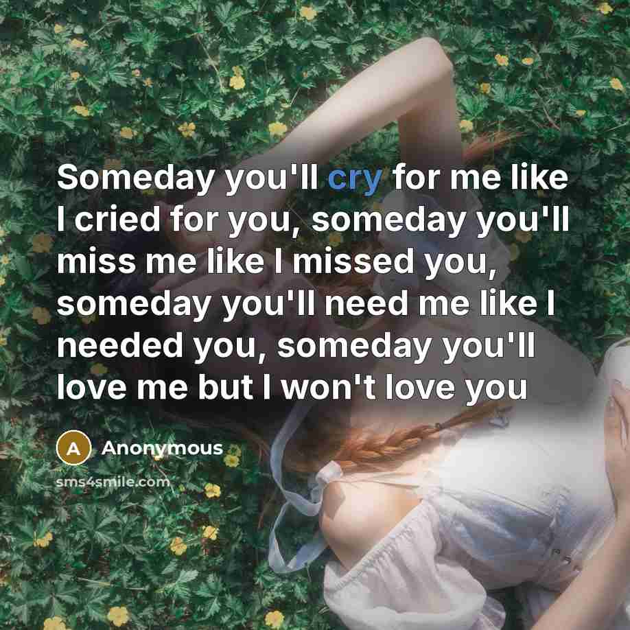 “Someday you'll cry for me like I cried for you,…” quote by Anonymous