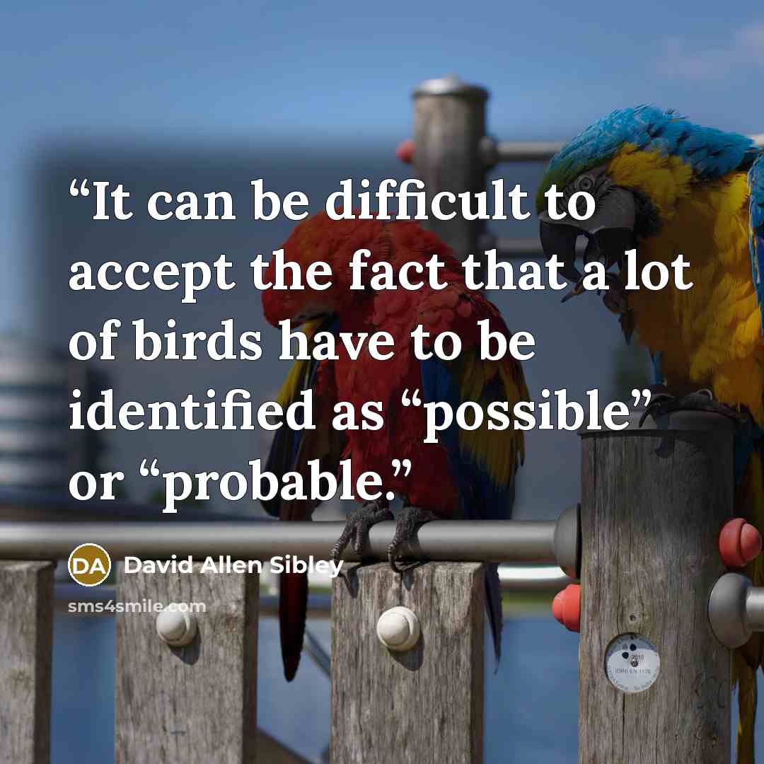 “It can be difficult to accept the fact that a lot of birds have to be identified as “possible” or “probable.” quote by David Allen Sibley