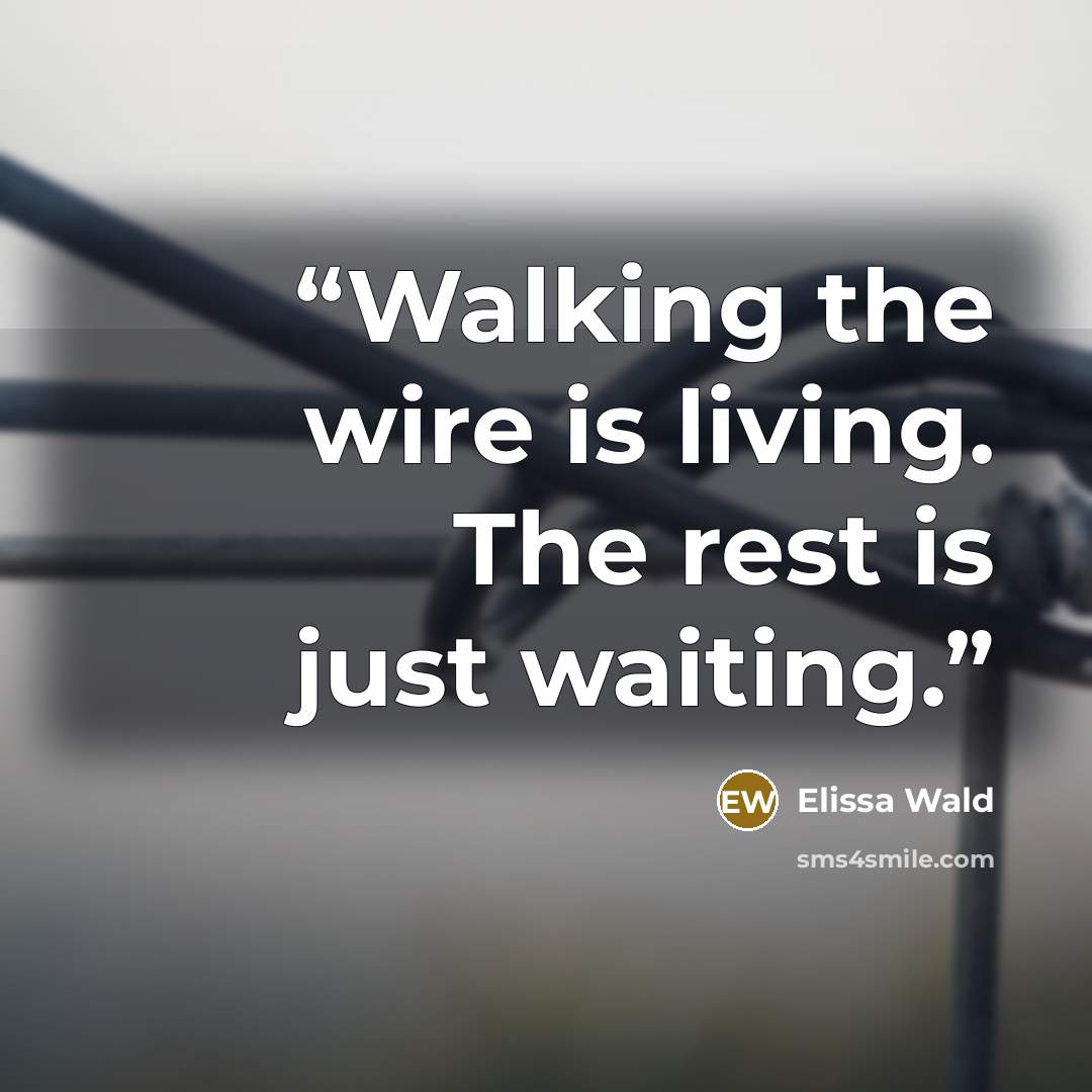 “Walking the wire is living. The rest is just waiting.” quote by Elissa Wald