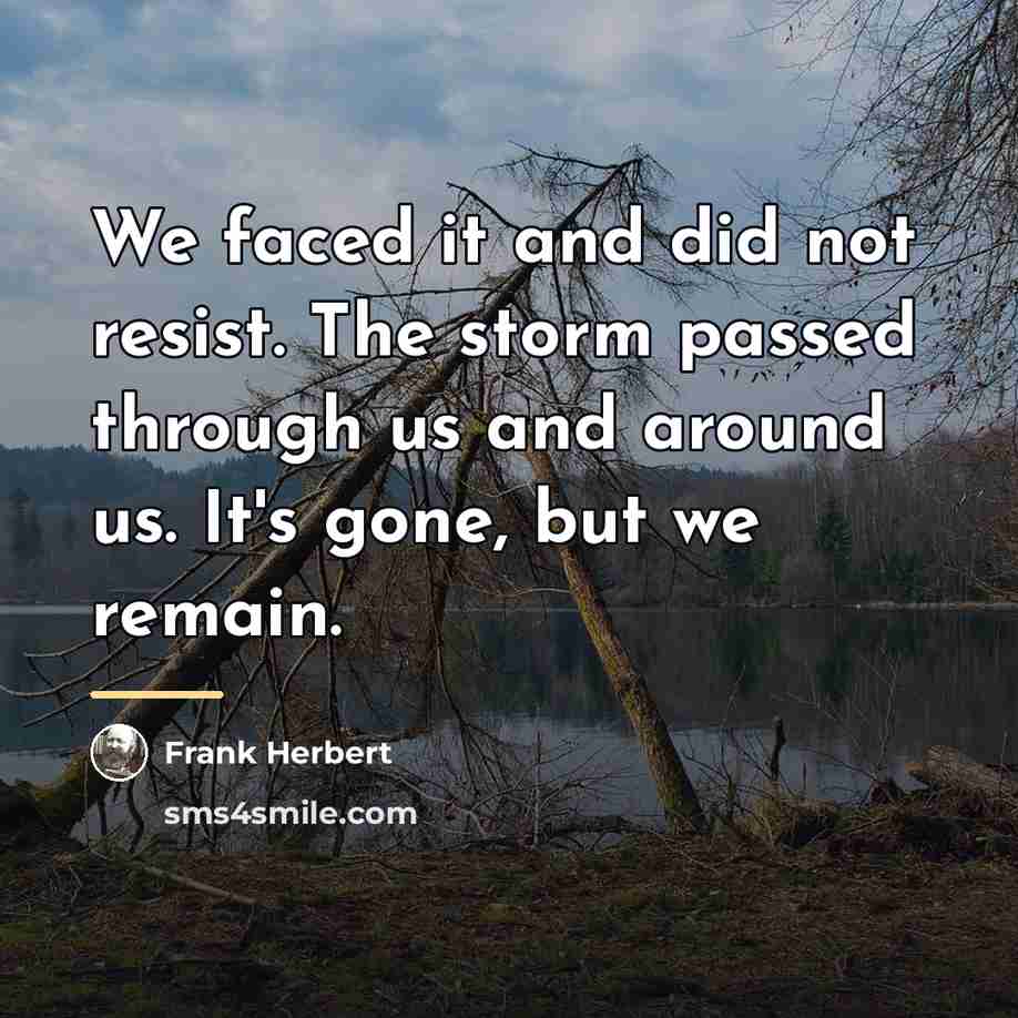 “We faced it and did not resist. The storm passed…” quote by Frank Herbert