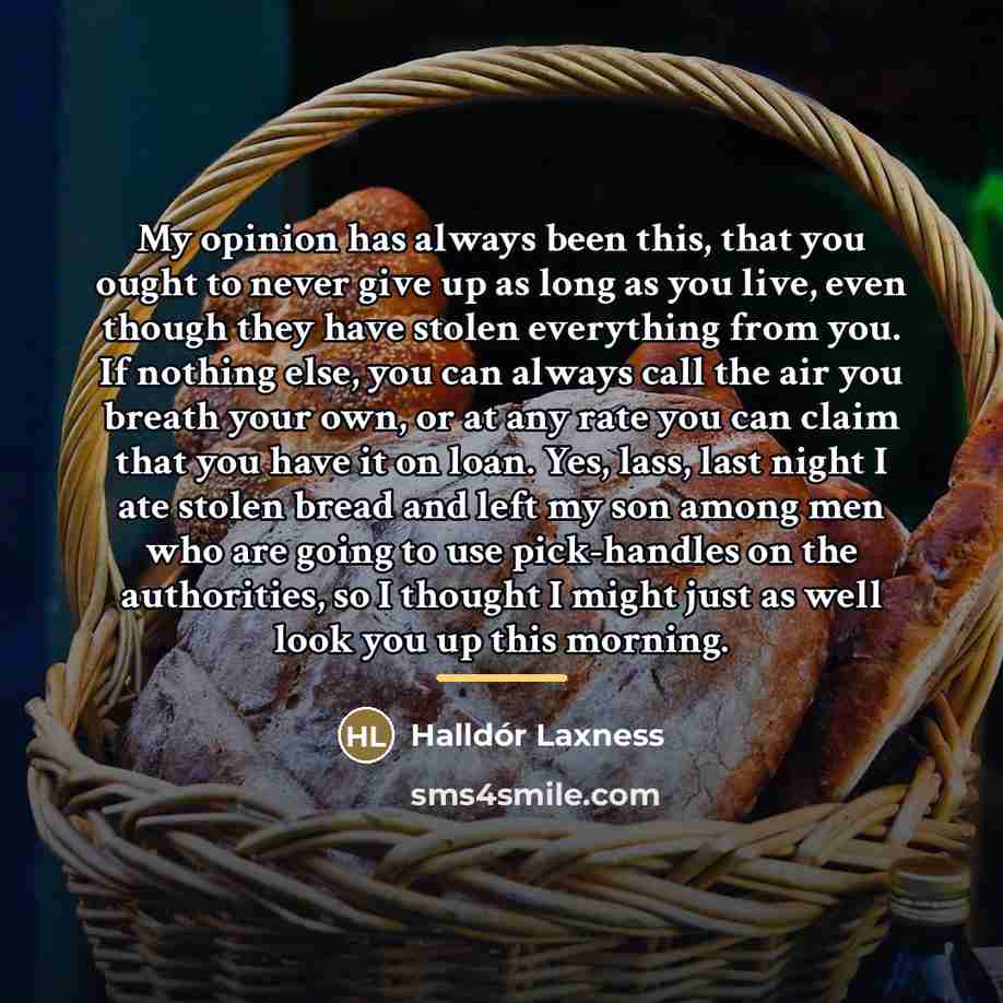 “My opinion has always been this, that you ought to…” quote by Halldór Laxness