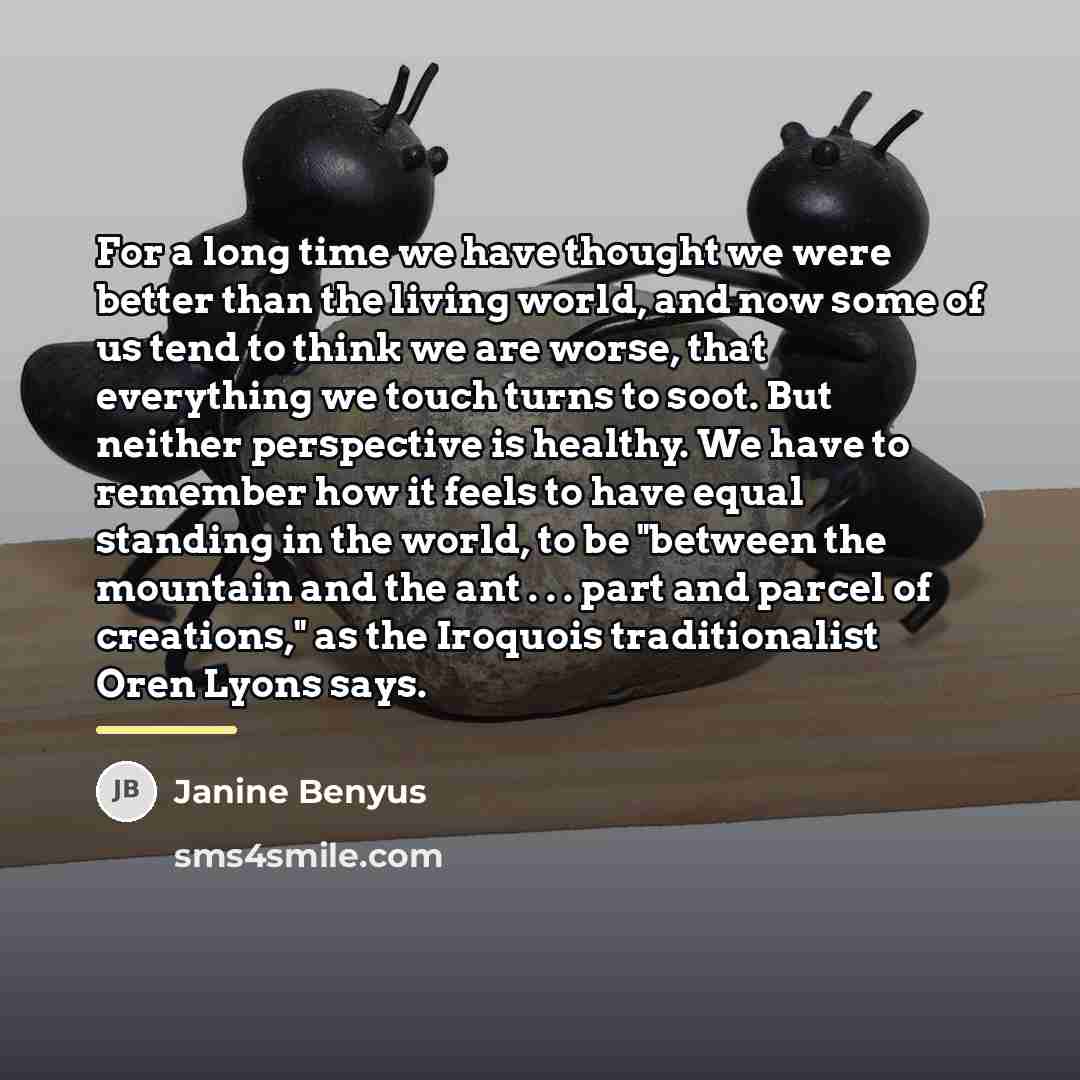 “For a long time we have thought we were better…” quote by Janine Benyus