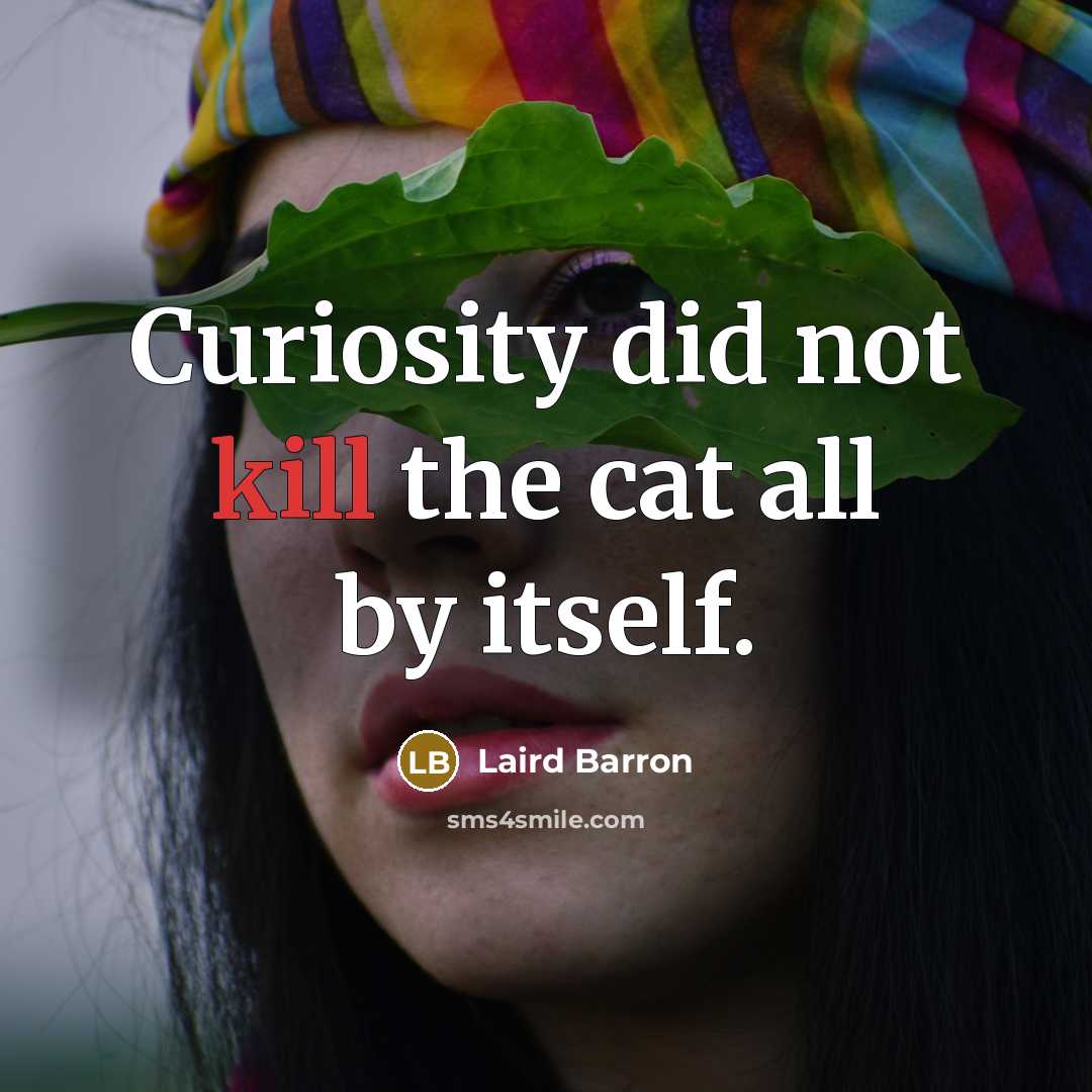 “Curiosity did not kill the cat all by itself.…” quote by Laird Barron