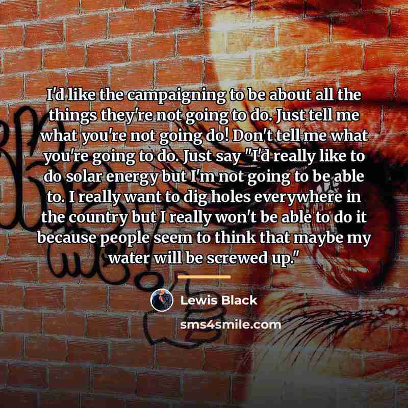 “I'd like the campaigning to be about all the things…” quote by Lewis Black