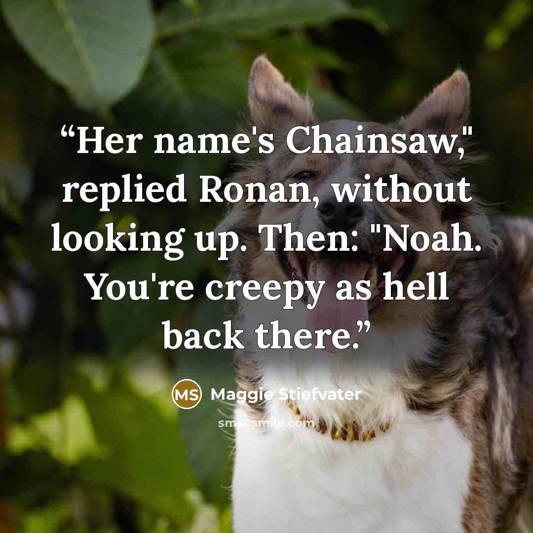 “Her name's Chainsaw," replied Ronan, without looking up. Then: "Noah. You're creepy as hell back there.” quote by Maggie Stiefvater