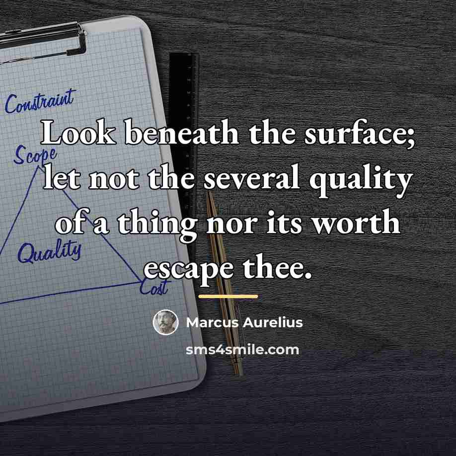 “Look beneath the surface; let not the several quality of…” quote by Marcus Aurelius