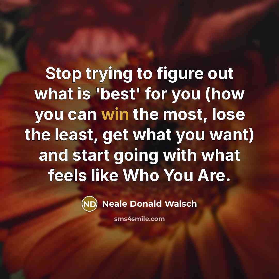 “Stop trying to figure out what is 'best' for you…” quote by Neale Donald Walsch