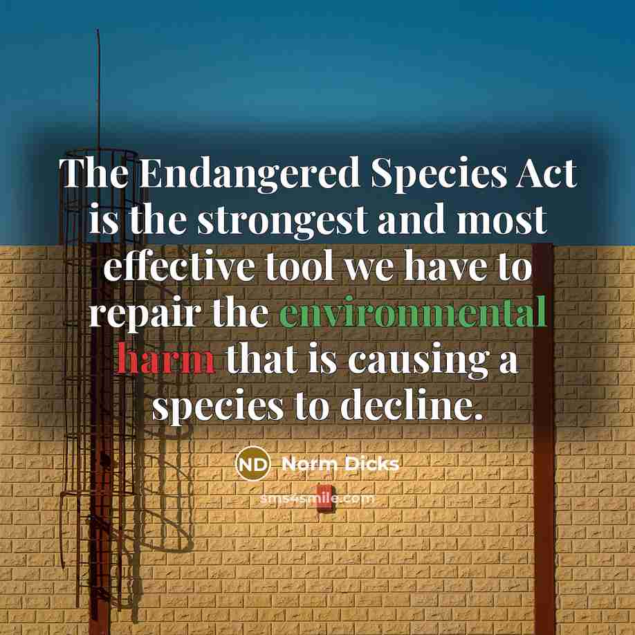 “The Endangered Species Act is the strongest and most effective…” quote by Norm Dicks