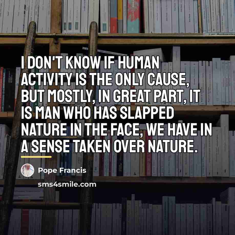 “I don't know if human activity is the only cause,…” quote by Pope Francis