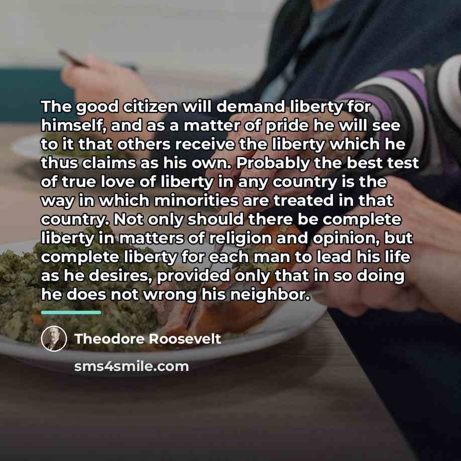 “The good citizen will demand liberty for himself, and as…” quote by Theodore Roosevelt