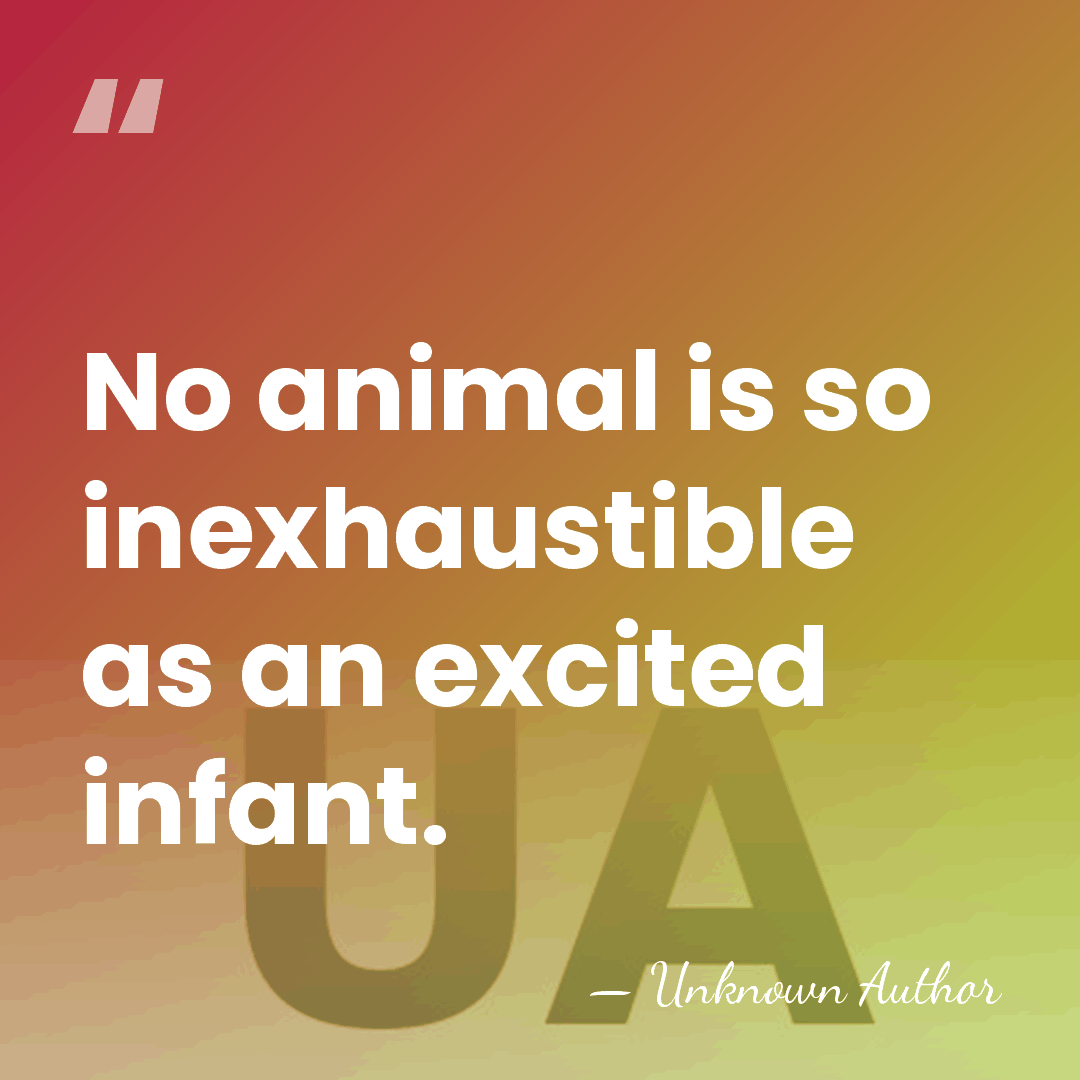 No animal is so inexhaustible as an excited infant. - Unknown Author