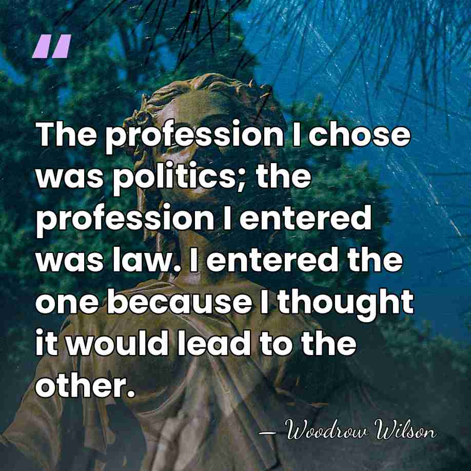 The profession I chose was politics; the profession I entered was law.&hellip; - Woodrow Wilson