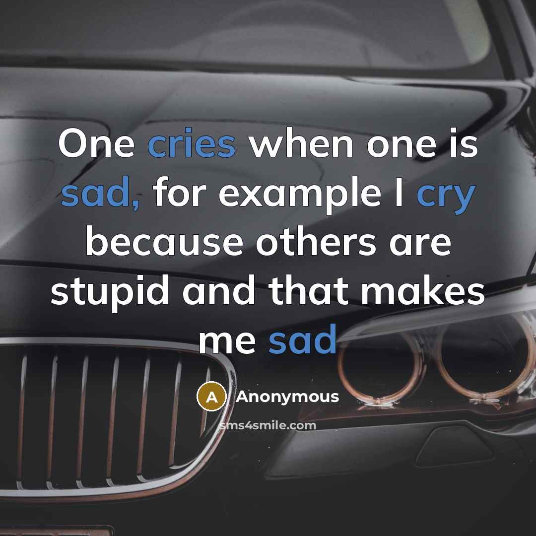 “One cries when one is sad, for example I cry because others are stupid and that makes me sad” quote by Anonymous