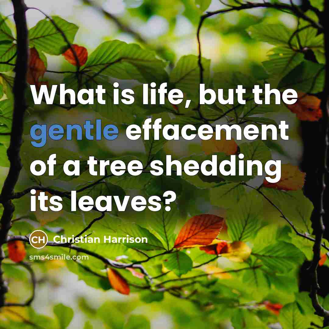 “What is life, but the gentle effacement of a tree…” quote by Christian Harrison