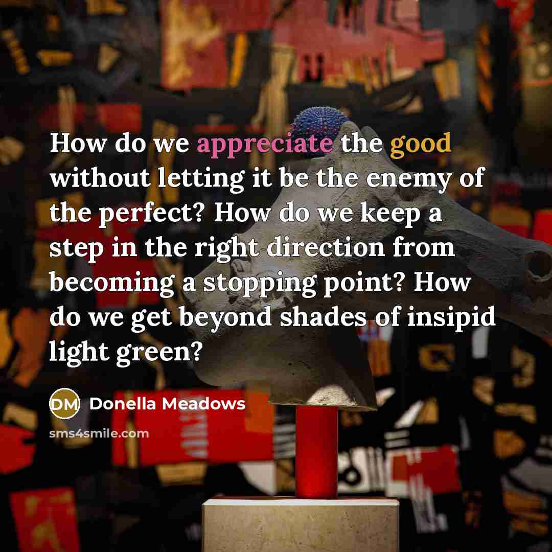 “How do we appreciate the good without letting it be…” quote by Donella Meadows