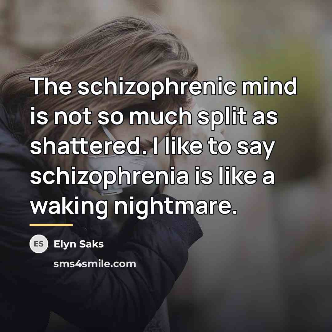 “The schizophrenic mind is not so much split as shattered.…” quote by Elyn Saks