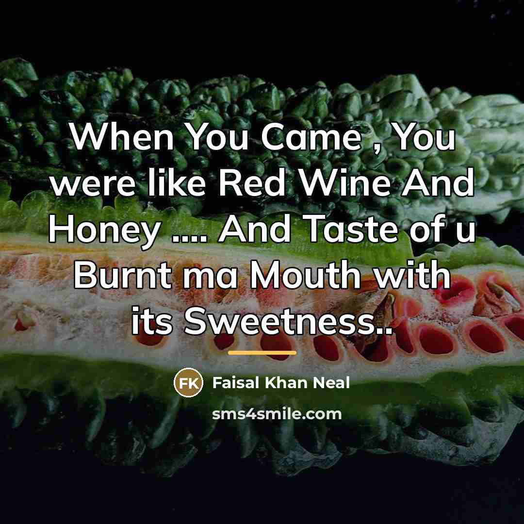“When You Came , You were like Red Wine And…” quote by Faisal Khan Neal