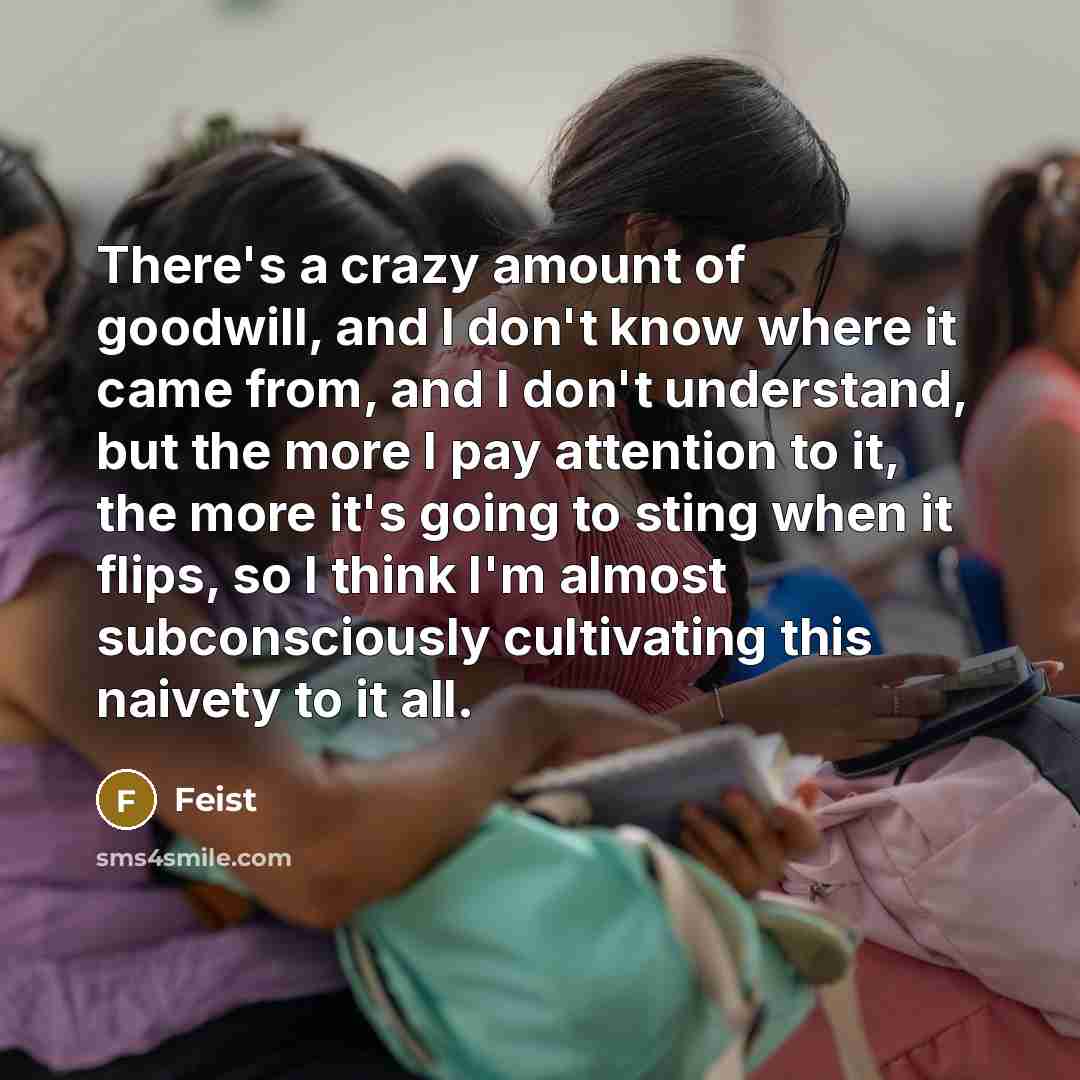 “There's a crazy amount of goodwill, and I don't know…” quote by Feist