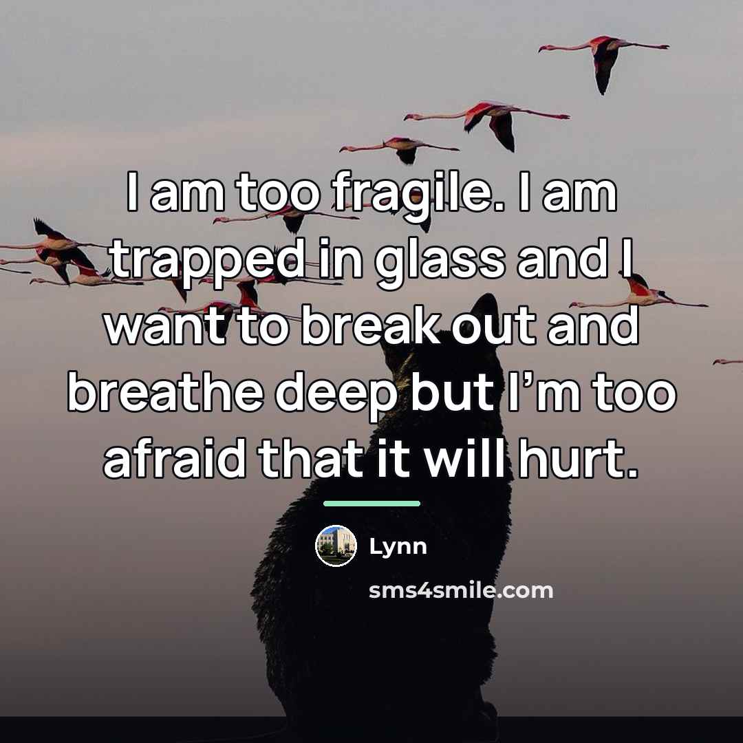 “I am too fragile. I am trapped in glass and…” quote by Lynn