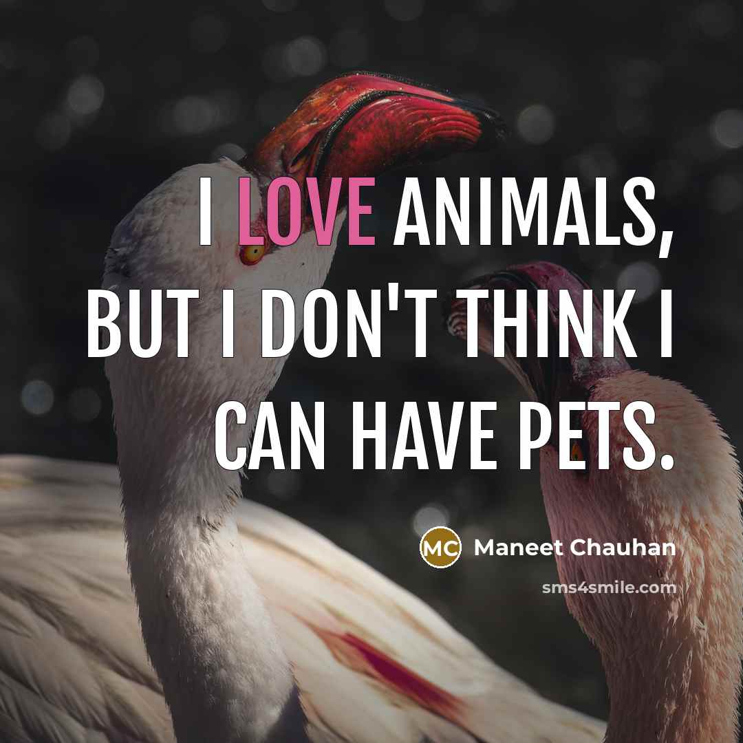 “I love animals, but I don't think I can have…” quote by Maneet Chauhan