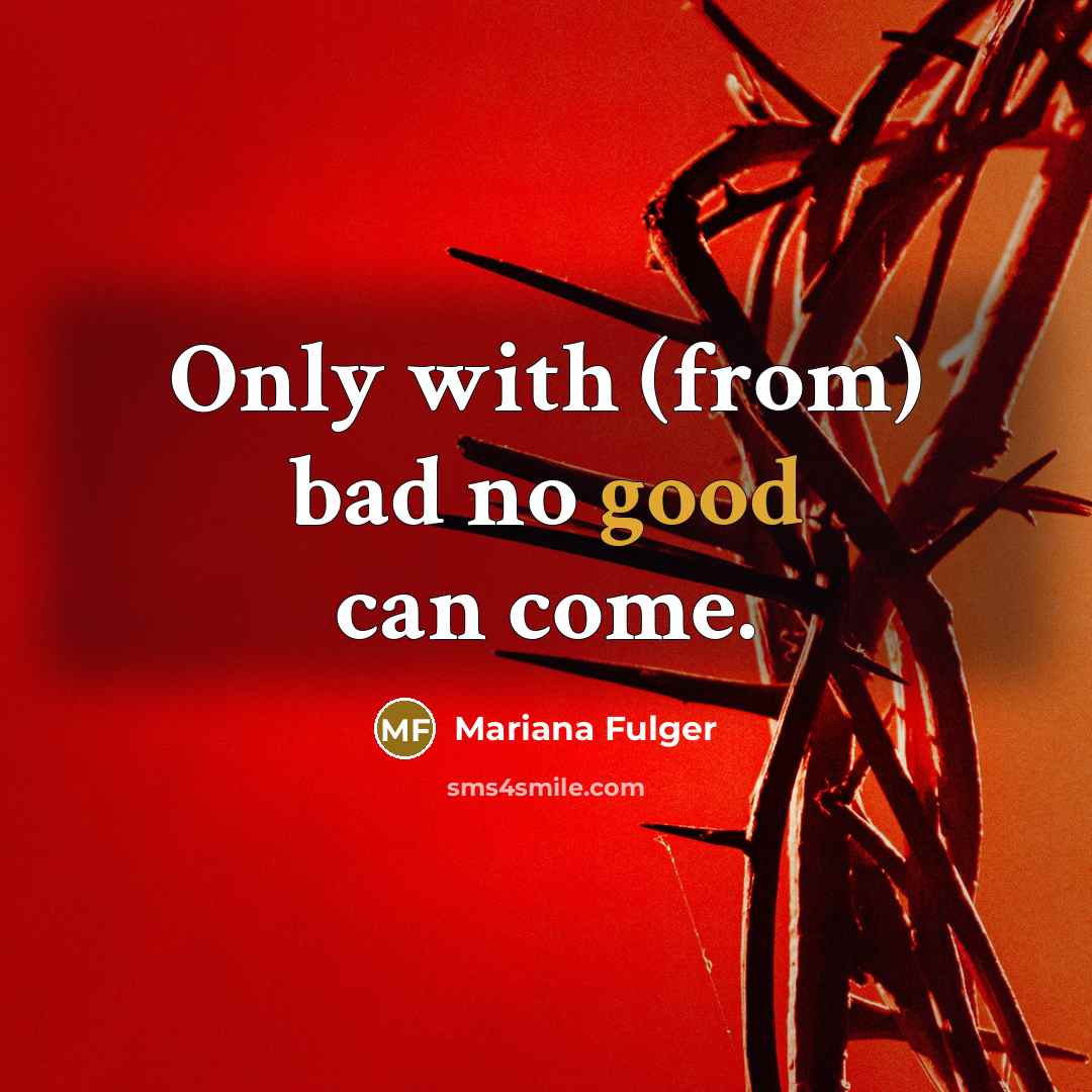 “Only with (from) bad no good can come.” quote by Mariana Fulger