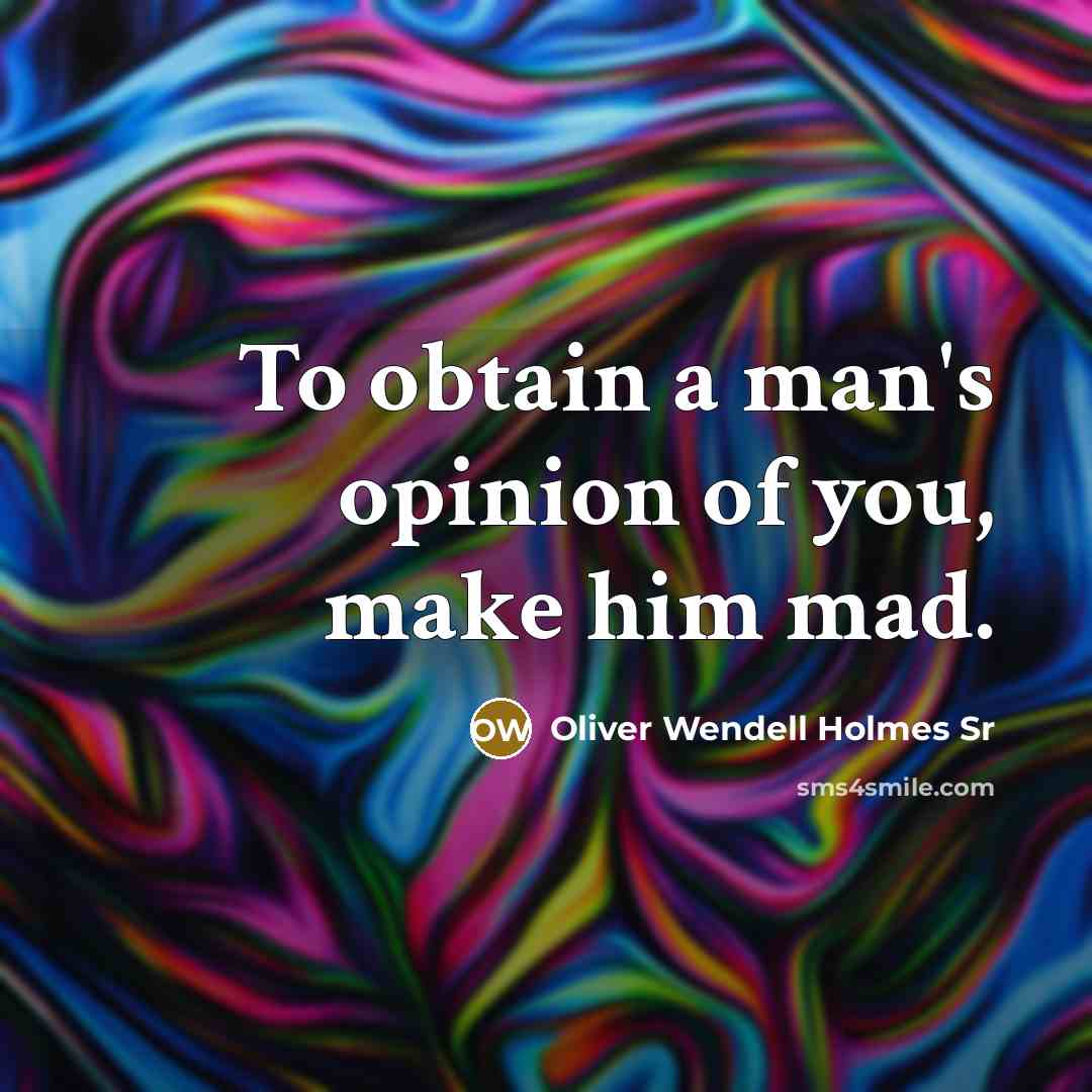 “To obtain a man's opinion of you, make him mad.…” quote by Oliver Wendell Holmes Sr