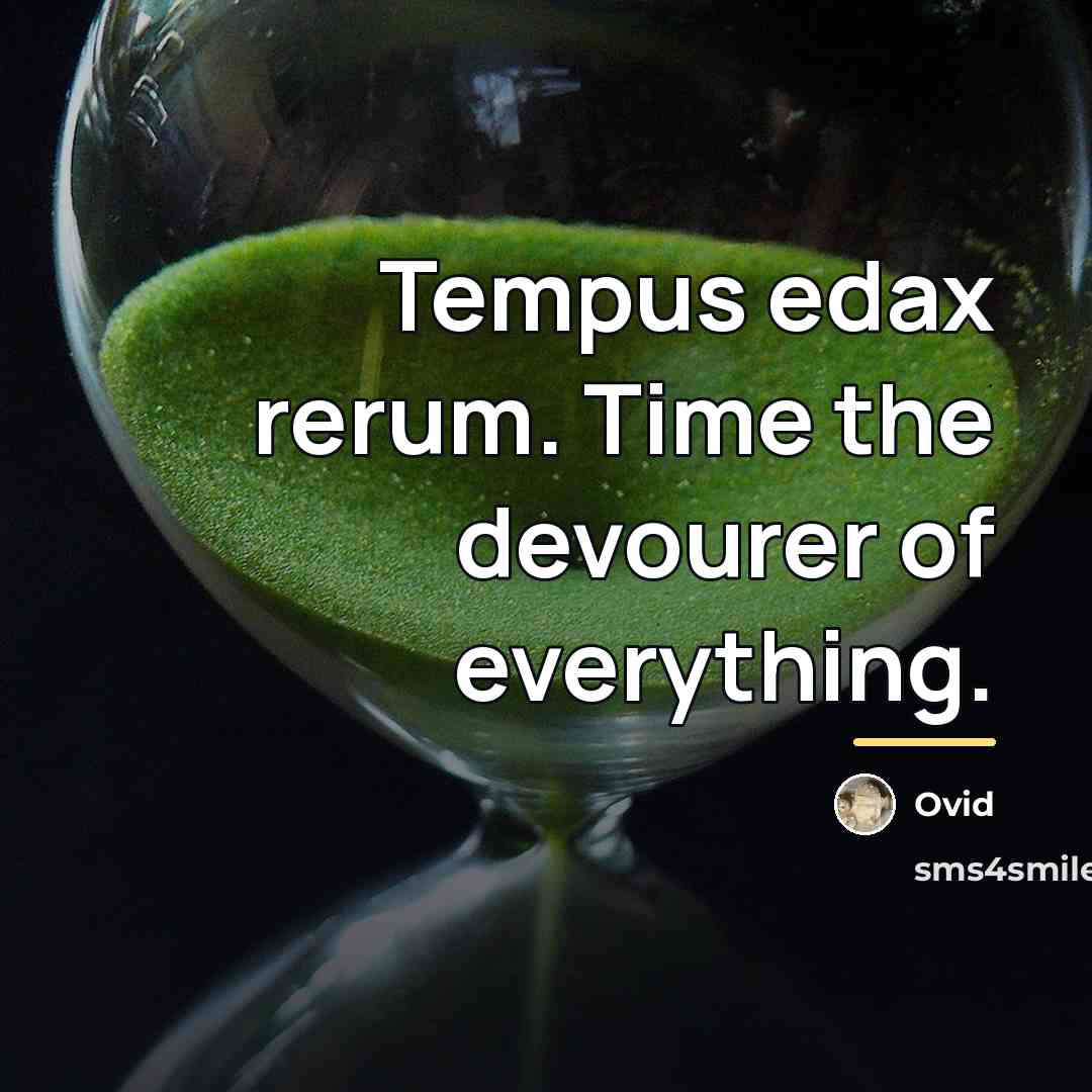 “Tempus edax rerum. Time the devourer of everything.…” quote by Ovid