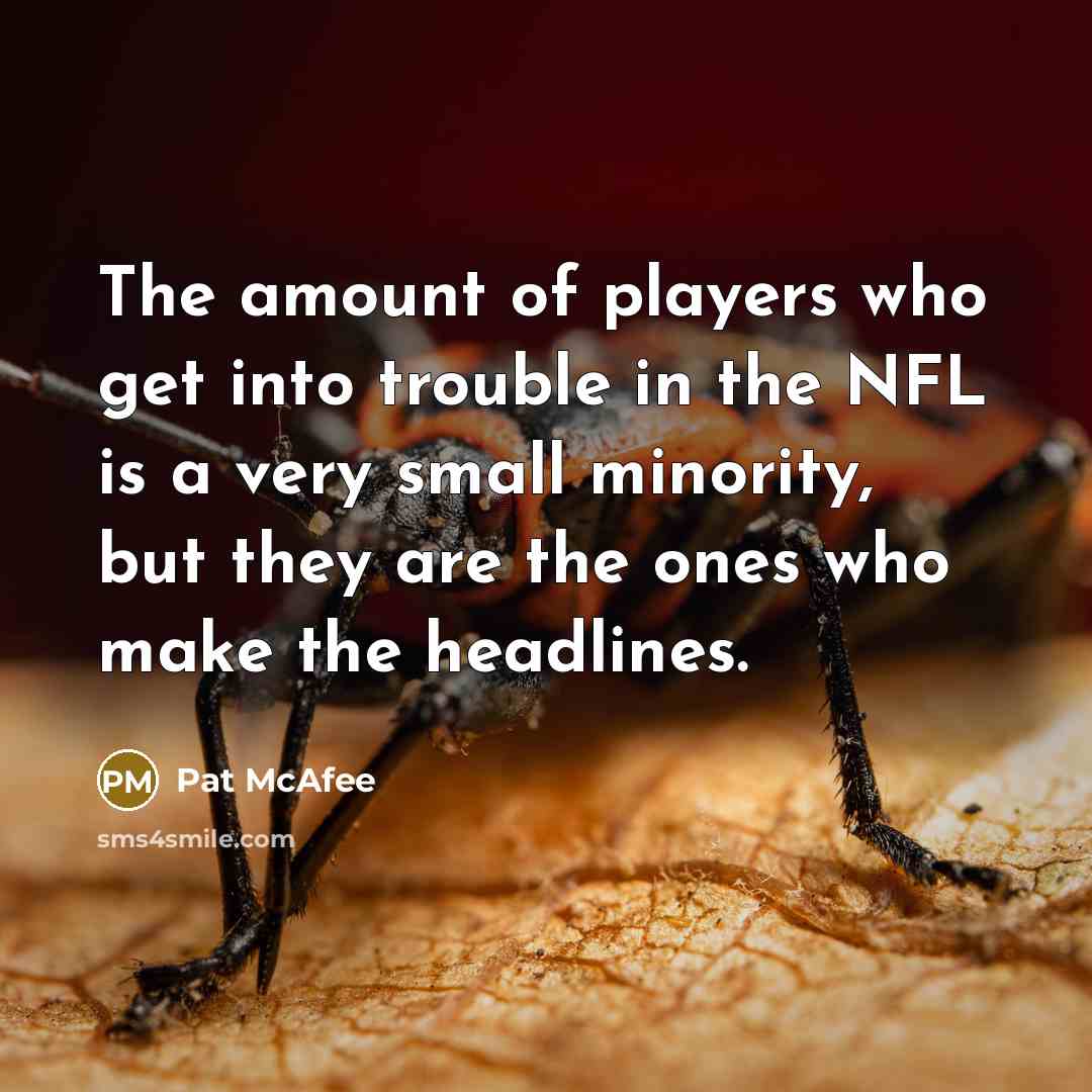 “The amount of players who get into trouble in the NFL is a very small minority, but they are the ones who make the headlines.” quote by Pat McAfee