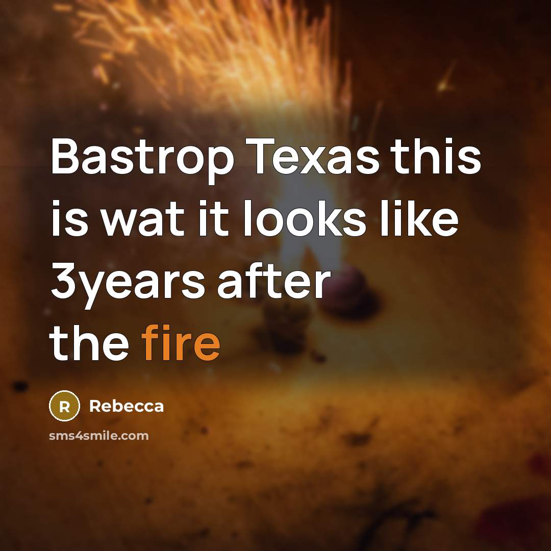 “Bastrop Texas this is wat it looks like 3years after…” quote by Rebecca