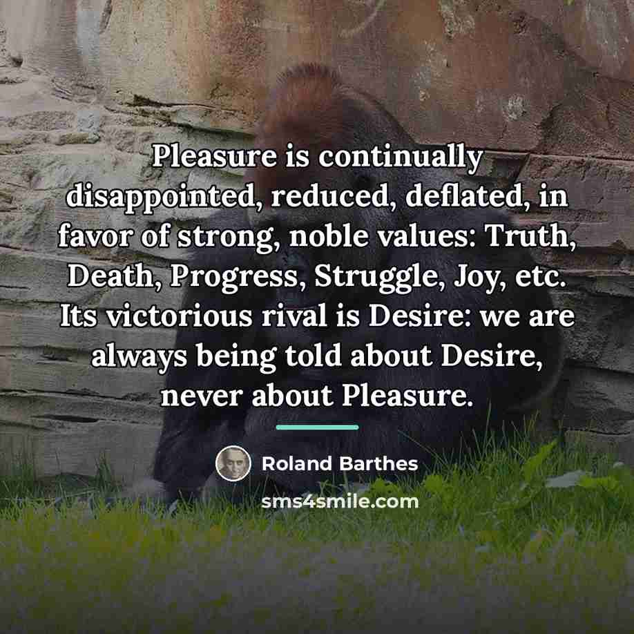 “Pleasure is continually disappointed, reduced, deflated, in favor of strong,…” quote by Roland Barthes